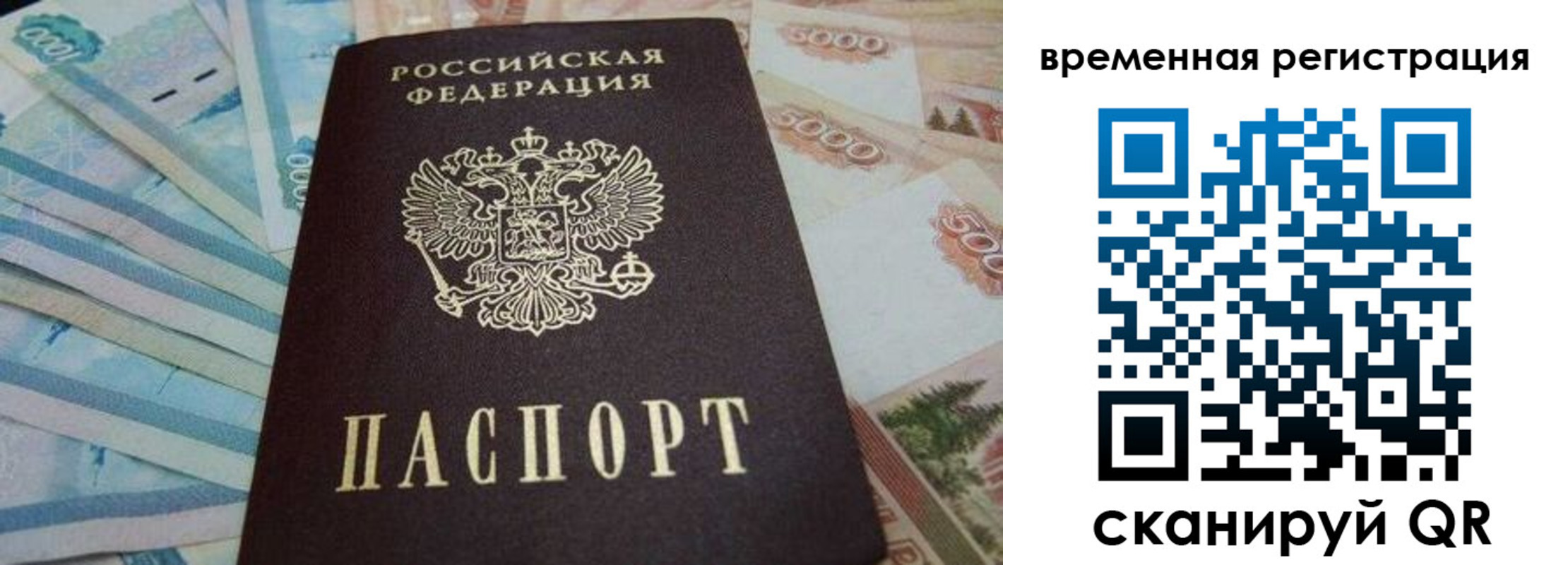 временная регистрация гарантия в Сланцах